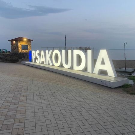 Seahouse With View Apartment Psakoudia Exterior foto