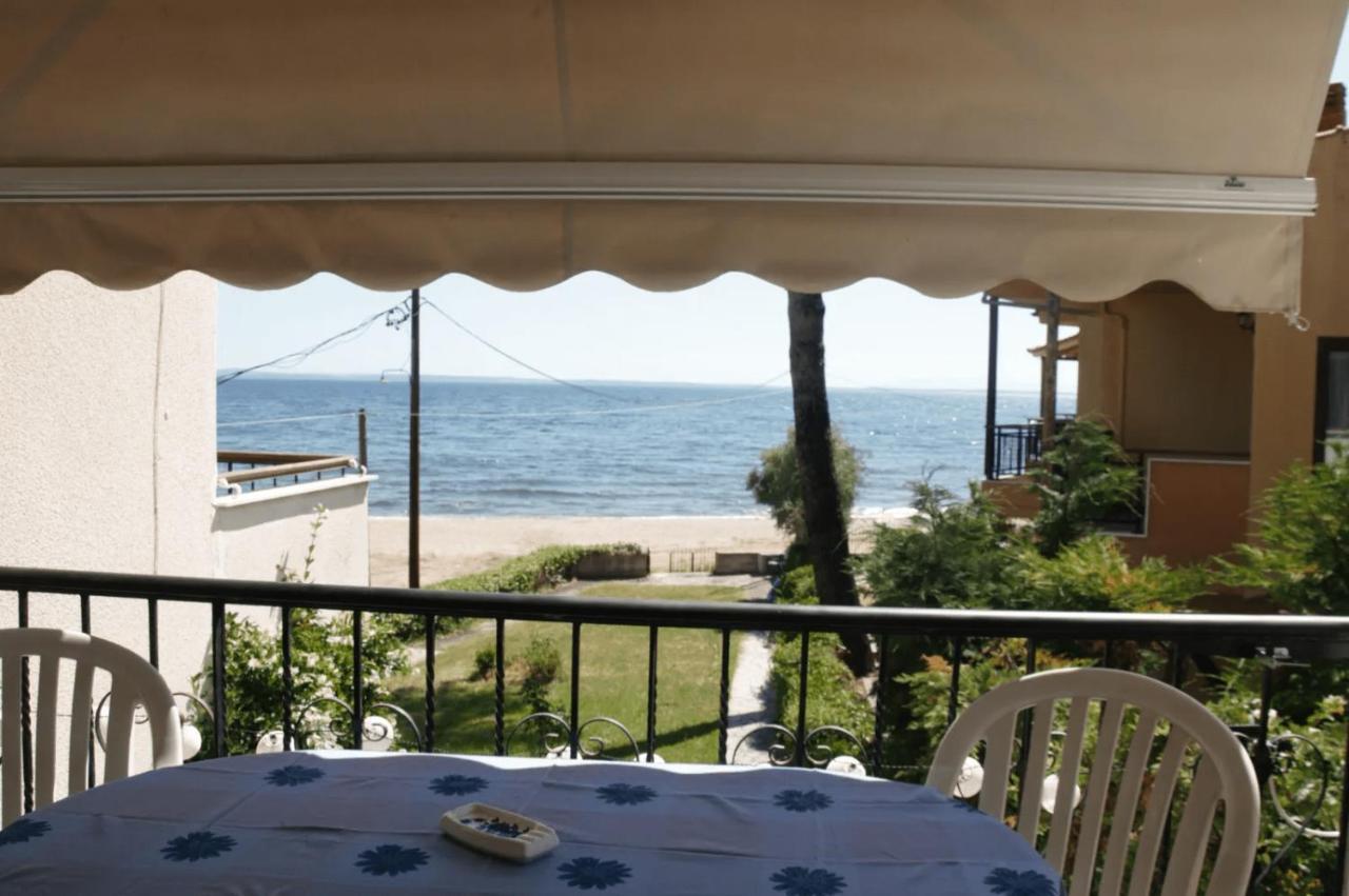 Seahouse With View Apartment Psakoudia Exterior foto