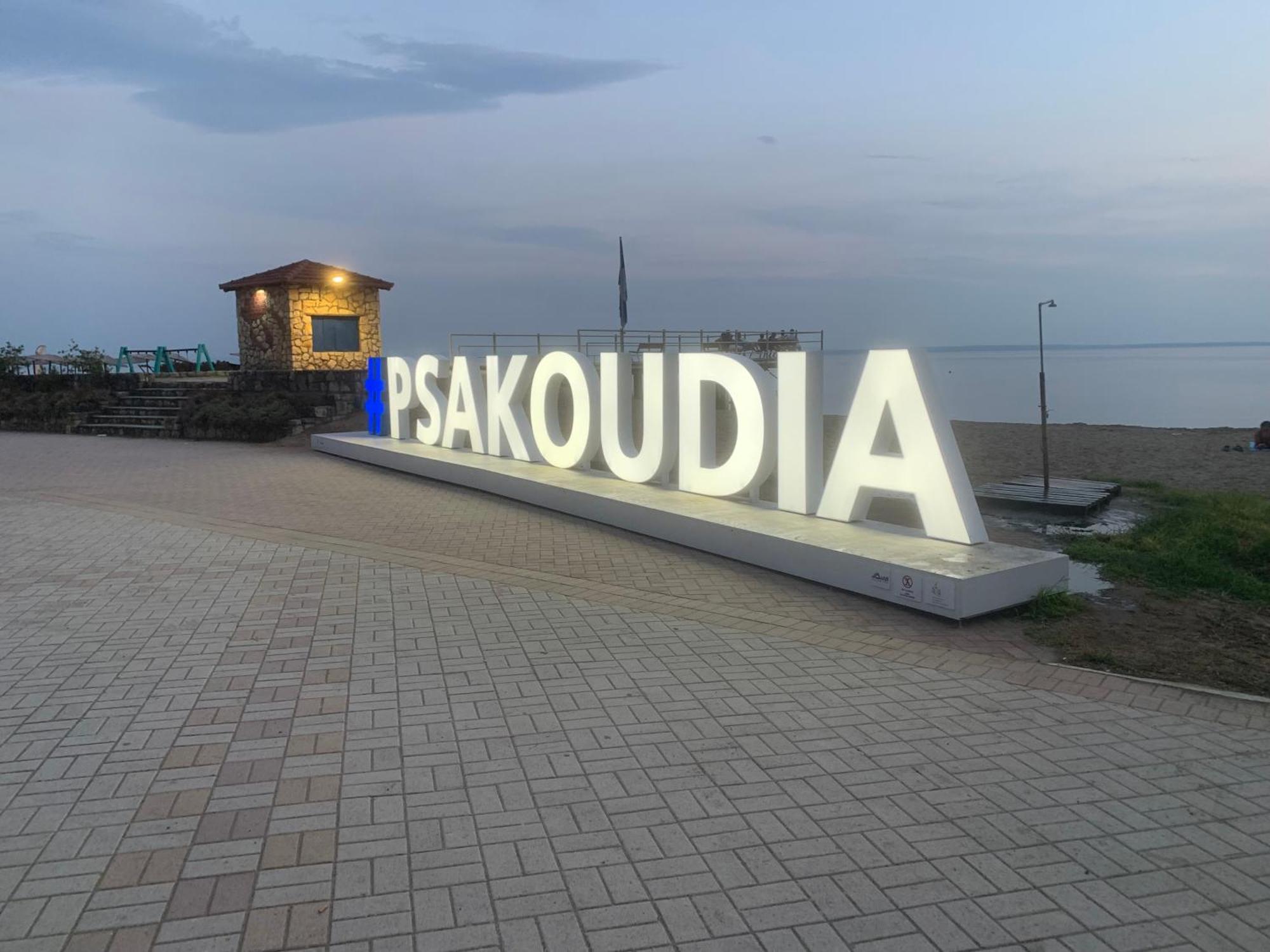 Seahouse With View Apartment Psakoudia Exterior foto
